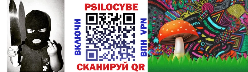 Купить где  Белебей  Галлюциногенные грибы мицелий 