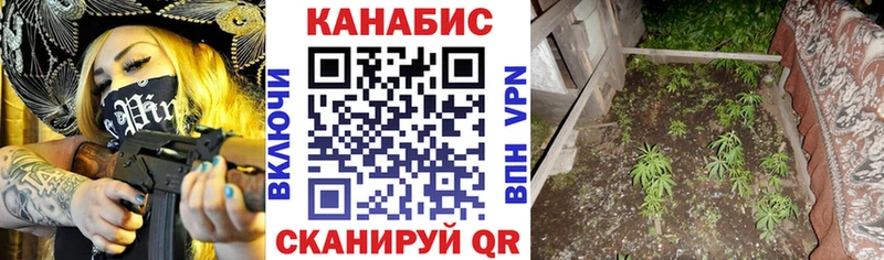 Каннабис OG Kush  Купить  Белебей 